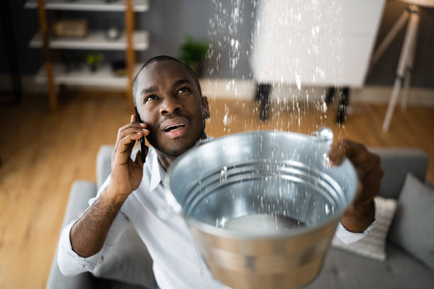 Best Fire Damage Restoration  in Willows, CA