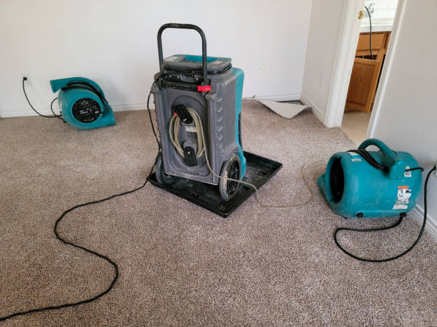 Best 24-hour water damage restoration  in Willows, CA