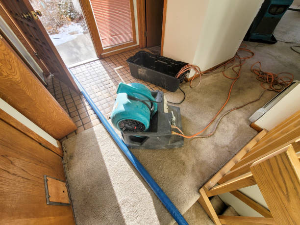 Best 24/7 water damage repair  in Willows, CA