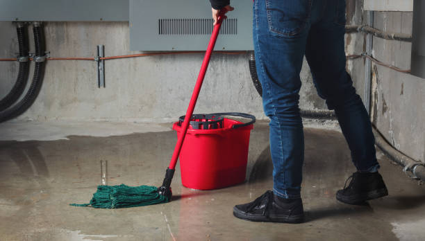 Best Water damage restoration near me  in Willows, CA
