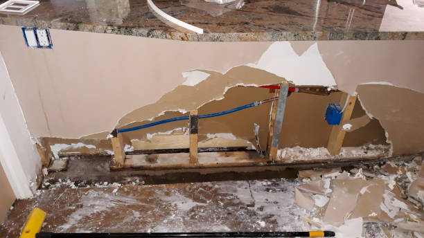 Best Fire Damage Restoration  in Willows, CA