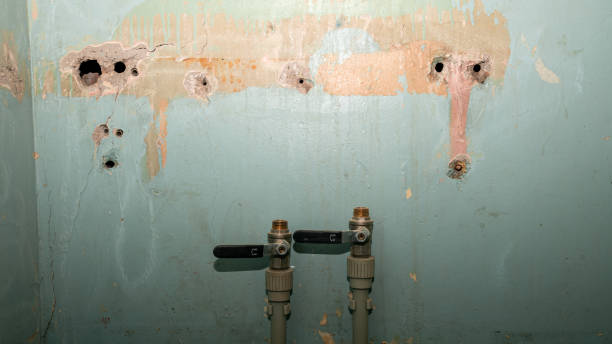 Best Residential water damage restoration  in Willows, CA