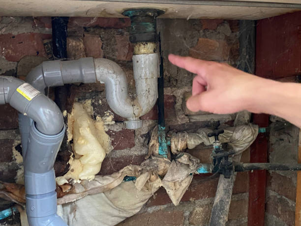 Best Basement water damage restoration  in Willows, CA
