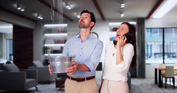 Best Professional water damage repair  in Willows, CA