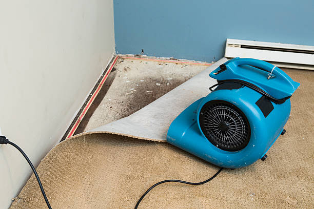 Best Water damage restoration near me  in Willows, CA